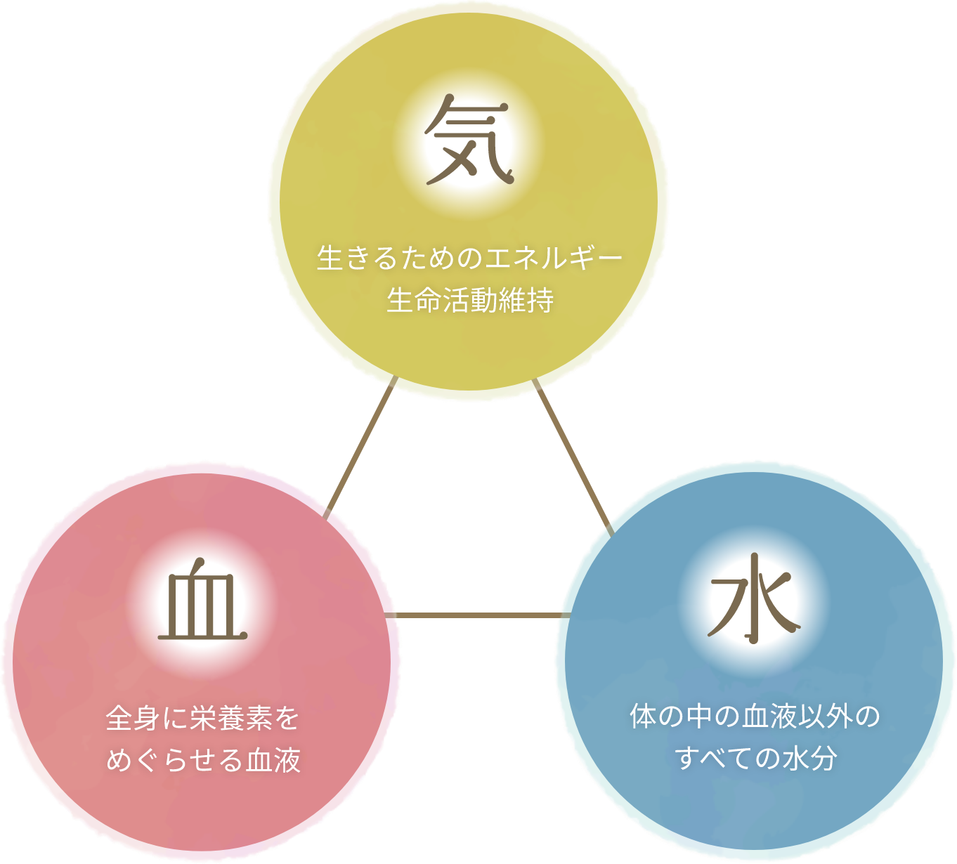気 生きるためのエネルギー生命活動維持 血 全身に栄養をめぐらせる血液 水 体の中の血液以外のすべての水分
