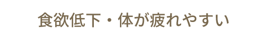 食欲低下・体が疲れやすい